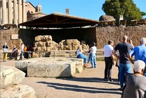 Rome : Visite du Colisée, du Forum romain et du Palatin