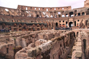 Roma: tour guiado por la arena del Coliseo, el Palatino y el Foro