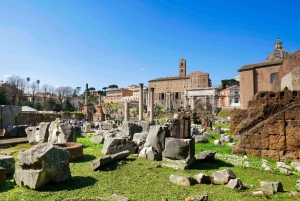 Roma: tour guiado por la arena del Coliseo, el Palatino y el Foro