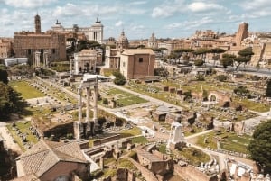 Rom: Kolosseum, Arena, Forum Romanum und Palatin 10 pax