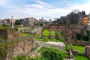 Roma: Visita guiada a la Arena del Coliseo, el Foro y el Palatino