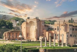 Roma: Visita guiada a la Arena del Coliseo, el Foro y el Palatino
