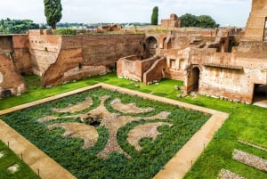 Rome: Colosseum Arena, Forum & Palatine Hill Private tour