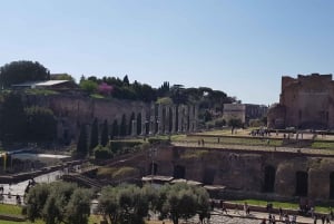 Rome: Colosseum Arena, Forum & Palatine Hill Private tour