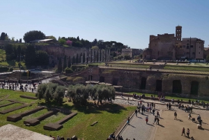 Rome: Colosseum Arena, Forum & Palatine Hill Private tour