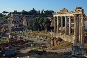 Rome: Colosseum Arena, Forum & Palatine Hill Private tour