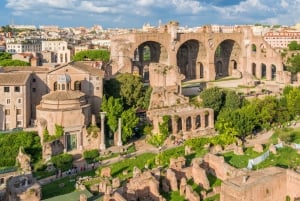 Rome: Colosseum Arena Guided Tour, Forum & Palatine Option