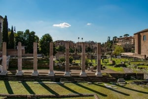 Rome: Colosseum Arena Guided Tour, Forum & Palatine Option