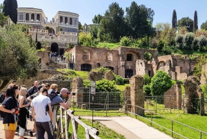 Rooma: Colosseumin areena, Palatium ja Forum – opastettu kierros