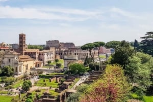 Rooma: Colosseumin areena, Palatium ja Forum – opastettu kierros