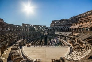 Rooma: Colosseumin areena, Palatium ja Forum – opastettu kierros