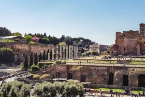 Rooma: Colosseumin areena, Palatium ja Forum – opastettu kierros