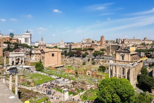 Rooma: Colosseumin areena, Palatium ja Forum – opastettu kierros