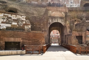 Rooma: Colosseumin areena, Palatium ja Forum – opastettu kierros