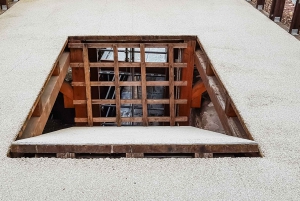 Rooma: Colosseumin areena, Palatium ja Forum – opastettu kierros