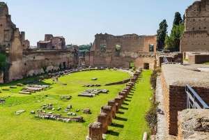 Rooma: Colosseumin areena, Palatium ja Forum – opastettu kierros