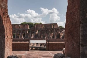 Rom: Bevorzugter Zugang zum Kolosseum, Forum Romanum und Palatin Tour