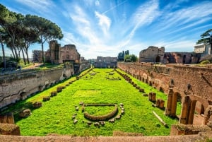 Roma: Tour dell'Arena del Colosseo, del Foro Romano e del Palatino