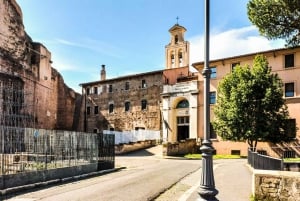 Roma: Tour dell'Arena del Colosseo, del Foro Romano e del Palatino