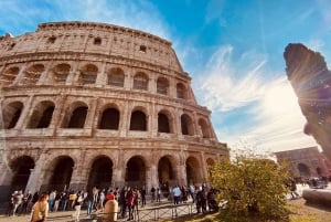 Roma: Tour dell'Arena del Colosseo, del Foro Romano e del Palatino