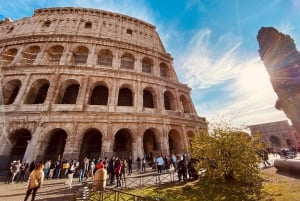 Roma: Tour dell'Arena del Colosseo, del Foro Romano e del Palatino