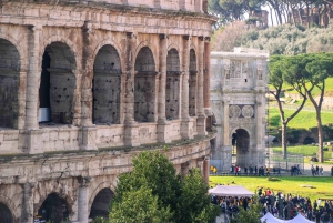 Roma: Colosseum Arena, Forum Romanum og Palatinerhøyden VIP-tur