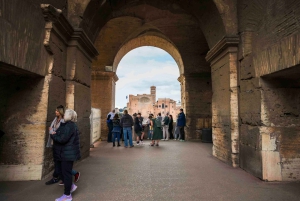 Roma: Colosseum Arena, Forum Romanum og Palatinerhøyden VIP-tur
