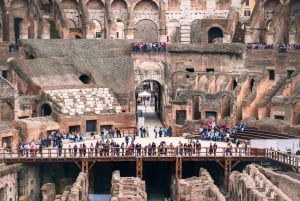 Roma: Colosseum Arena, Forum Romanum og Palatinerhøyden VIP-tur