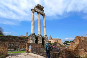 Roma: tour VIP dell'Arena del Colosseo, del Foro Romano e del Palatino