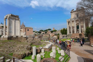 Roma: tour VIP dell'Arena del Colosseo, del Foro Romano e del Palatino