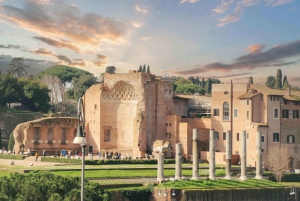 Roma: tour VIP dell'Arena del Colosseo, del Foro Romano e del Palatino