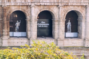 Roma: tour VIP dell'Arena del Colosseo, del Foro Romano e del Palatino