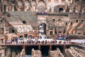 Roma: tour VIP dell'Arena del Colosseo, del Foro Romano e del Palatino