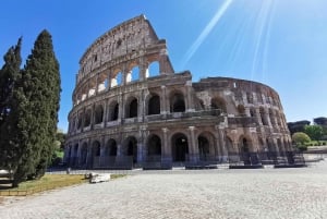 Rome: Colosseum ARENA FLOOR - Private Tour