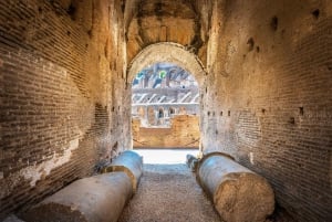 Rome: Colosseum Express Tour with Forum and Palatine Access