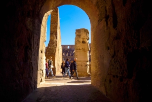 Roma: tour espresso del Colosseo con ingresso al Foro e al Palatino
