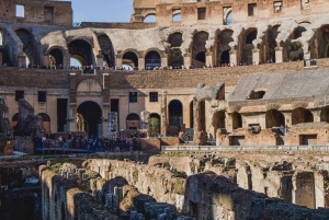 Roma: tour espresso del Colosseo con ingresso al Foro e al Palatino