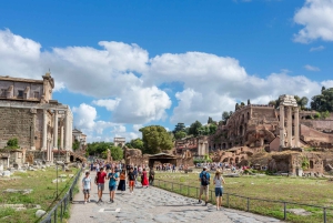 Roma: tour espresso del Colosseo con ingresso al Foro e al Palatino