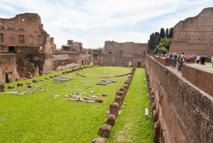 Roma: tour espresso del Colosseo con ingresso al Foro e al Palatino