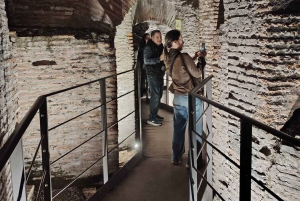 Roma: tour espresso del Colosseo con ingresso al Foro e al Palatino