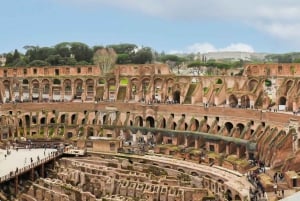 Rome: Colosseum Express Tour