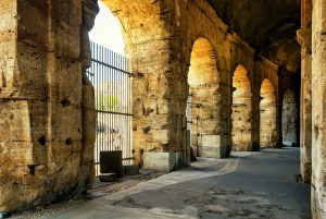 Rom: Colosseum Express med valgfri rundvisning i Forum Romanum