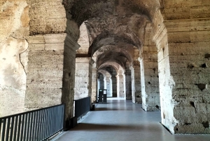 Rom: Colosseum Express med valgfri rundvisning i Forum Romanum