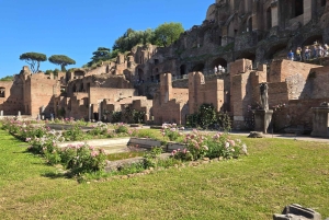Rom: Colosseum Express med valgfri rundvisning i Forum Romanum