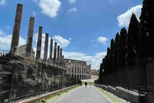 Rome : Colisée et Rome antique visite guidée en petit groupe