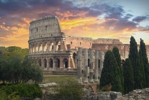 Rome : Visite guidée du Colisée, du Forum romain et de la colline Palatine