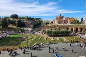 Rome : Visite guidée du Colisée, du Forum romain et de la colline Palatine