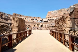 Rooma: Colosseum, Forum ja Palatine Hill Yksityinen opastettu kierros