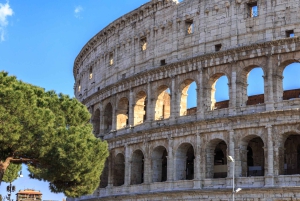 Rooma: Colosseum, Forum ja Palatine Hill Yksityinen opastettu kierros