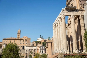 Rooma: Colosseum, Forum ja Palatine Hill Yksityinen opastettu kierros